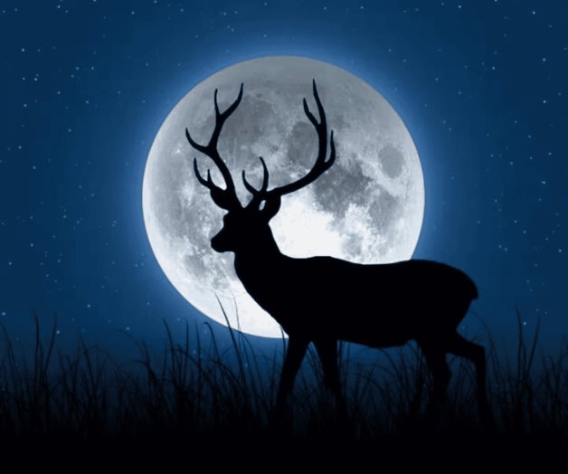 Luna de Ciervo: ¿por qué se le llama así al fenómeno astronómico? Luna de Ciervo: ¿por qué se le llama así al fenómeno astronómico?