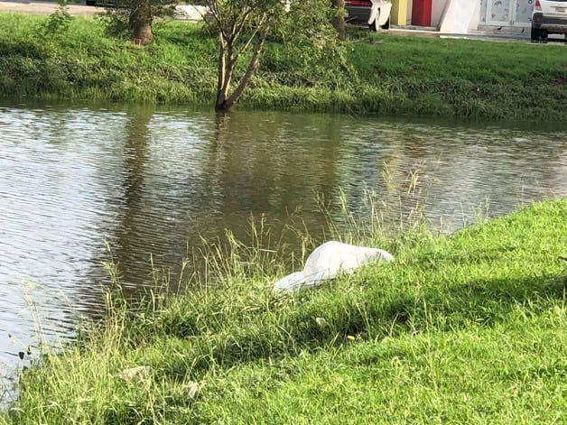 Localizan sin vida a hombre en laguito de Matamoros Localizan sin vida a hombre en laguito de Matamoros