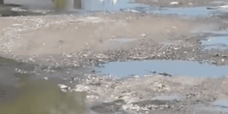 Cerca de 150 familias afectadas, debido a una fuerte fuga de aguas negras