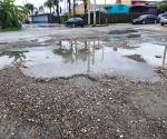 Brotan con las lluvias baches y socavones