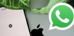 Paso a paso: cómo hablar con ChatGPT desde WhatsApp