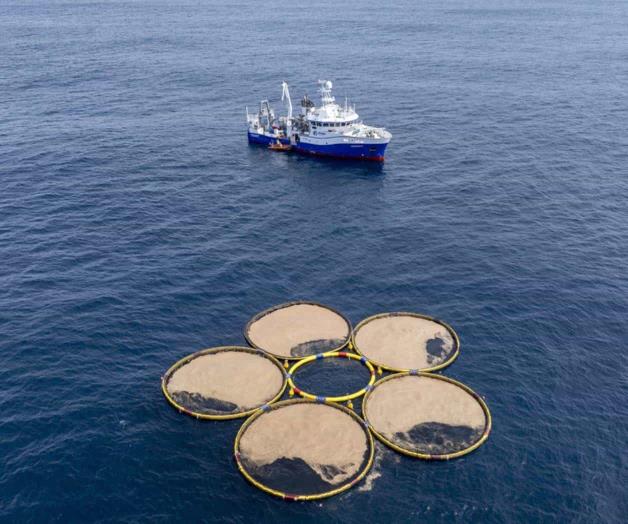 Startup israelí Gigablue y su tecnología para salvar el planeta en entredicho