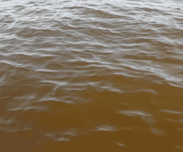 Alerta en Yucatán por llegada de marea roja Alerta en Yucatán por llegada de marea roja