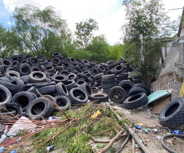 Proliferan sin control los tiraderos de llantas Proliferan sin control los tiraderos de llantas