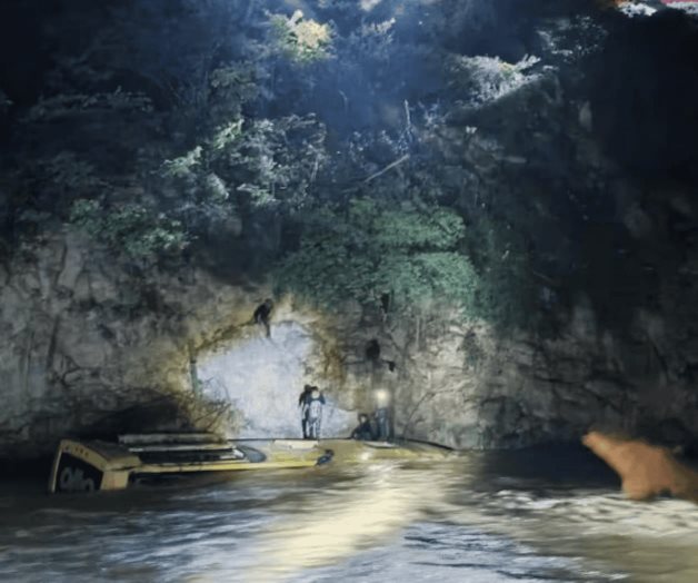 Accidente fatal en Alpoyeca: 3 muertos por volcadura de autobús