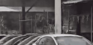 Hombres armados incendian lote de autos en Monterrey; matan a 4