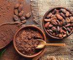El cacao mexicano: historia, variedades y desafíos