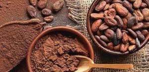 El cacao mexicano: historia, variedades y desafíos