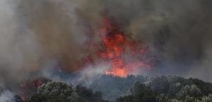 Incendios forestales en Grecia y Turquía dejan dos muertos