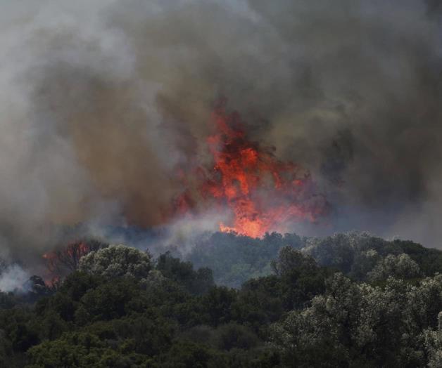 Incendios forestales en Grecia y Turquía dejan dos muertos Incendios forestales en Grecia y Turquía dejan dos muertos