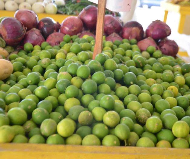 Arranca julio con un aumento en el limón Arranca julio con un aumento en el limón