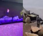 Pescador encuentra cuerpo de joven que se lanzó al río Pánuco en Playa Miramar