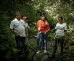 Reverdece Dominicana