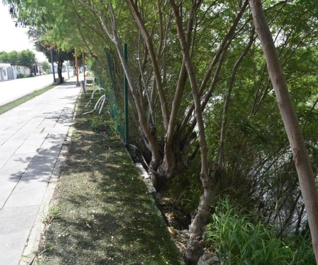 Roban malla metálica del canal Anzaldúas Roban malla metálica del canal Anzaldúas