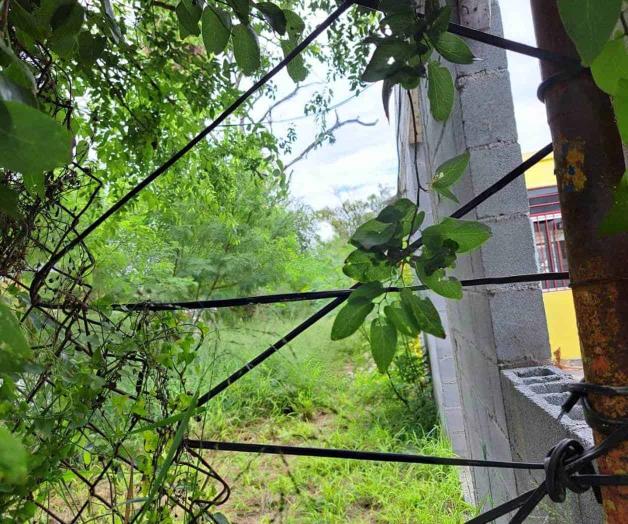 ´Devora´ el monte edificio de FSTSE en colonia Aztlán