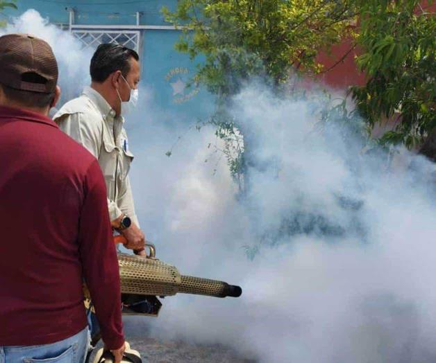 Reanudan fumigaciones en las colonias populares Reanudan fumigaciones en las colonias populares