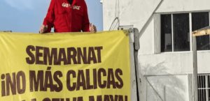 Greenpeace México toma oficinas de Semarnat en Cancún por deforestación