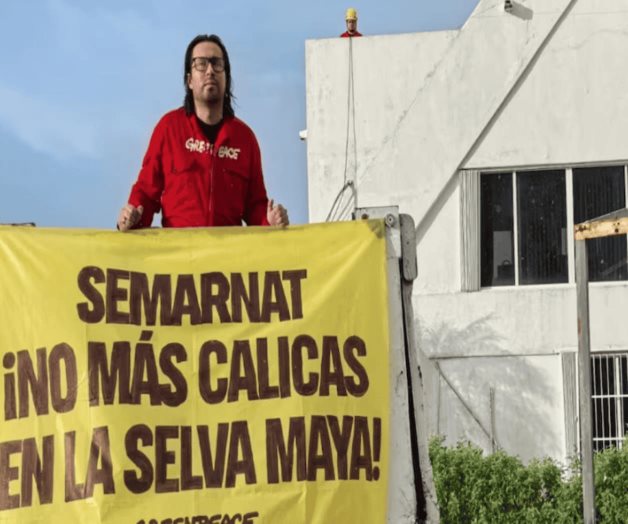 Greenpeace M&eacute;xico toma oficinas de Semarnat en Canc&uacute;n por deforestaci&oacute;n