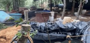 Incautados precursores para narcolaboratorio en Hidalgo