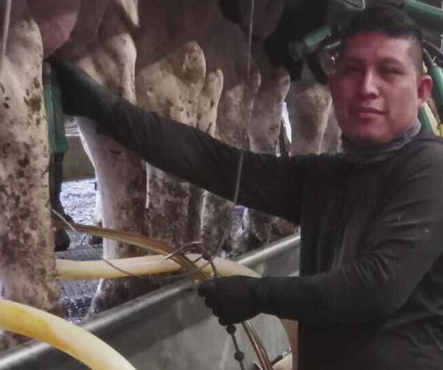 Redada de inmigraci&oacute;n en granja lechera de Vermont desata preocupaci&oacute;n