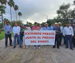 Inician productores agrícolas movilizaciones para exigir mejor precio para el sorgo.