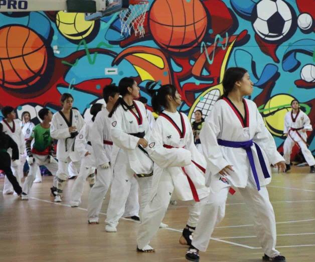 Ya trabajan taekwondo&iacute;nes