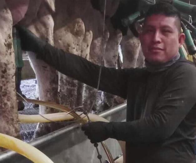 Una granja lechera en Vermont fue allanada