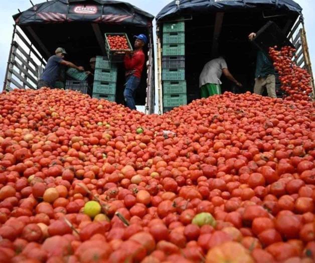 Aranceles a exportaci&oacute;n de tomate mexicano podr&iacute;an reducir empleos