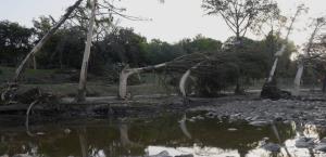 Lluvias intensas en Texas causan caos y tragedia