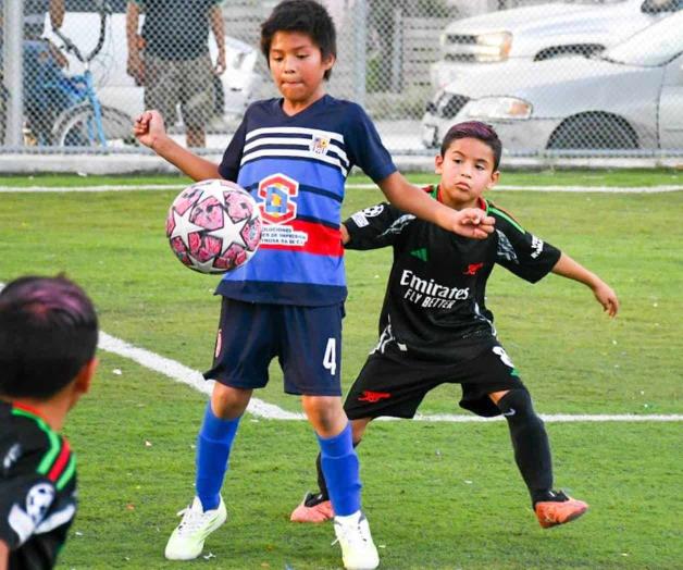 Proceso de campeón Proceso de campeón