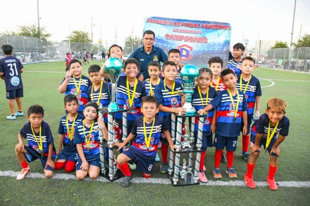 Proceso de campe&oacute;n