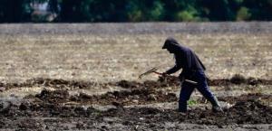 Proyecta EU agilizar visas para el campo