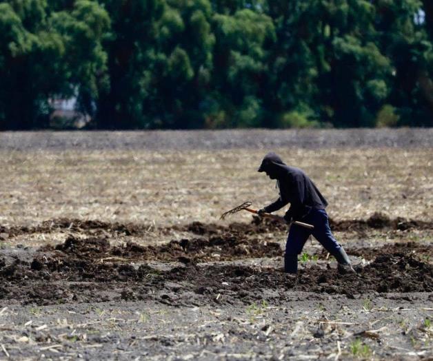 Proyecta EU agilizar visas para el campo Proyecta EU agilizar visas para el campo