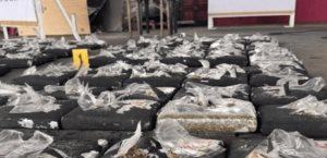 Aduana de Veracruz asegura 346 kilos de mariguana