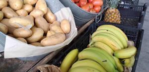 Advierten el riesgo de desabasto de alimentos