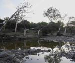 Imposible predecir dónde caerán lluvias mortíferas