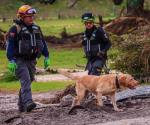 Entran en acción binomios caninos regios en Texas