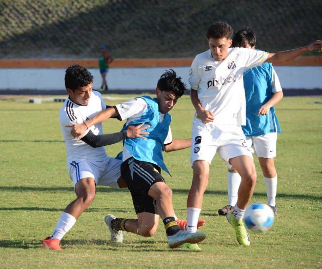 Ya tienen a sus elegidos Ya tienen a sus elegidos