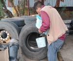Avanzan acciones contra el dengue