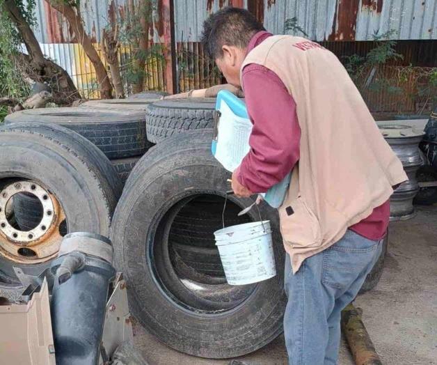 Avanzan acciones contra el dengue