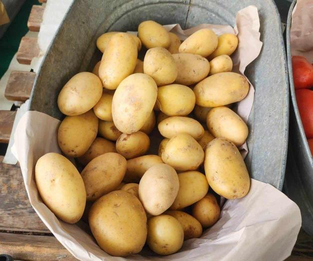 Prevén bajen los precios de algunos productos básicos