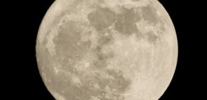 Asombro por la Luna de Ciervo 2025 en México