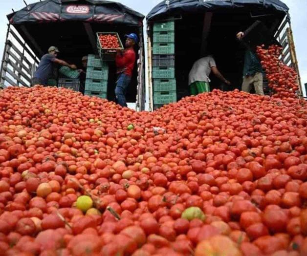 Arancel del tomate mexicano en EU se fija en 17.09%