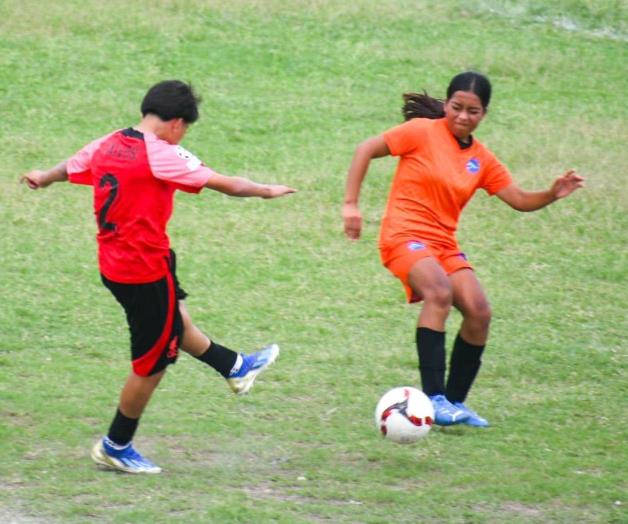 Van Jaibos a la liguilla Van Jaibos a la liguilla