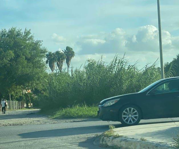 Invade maleza la lateral del  canal Rodhe en la Doctores