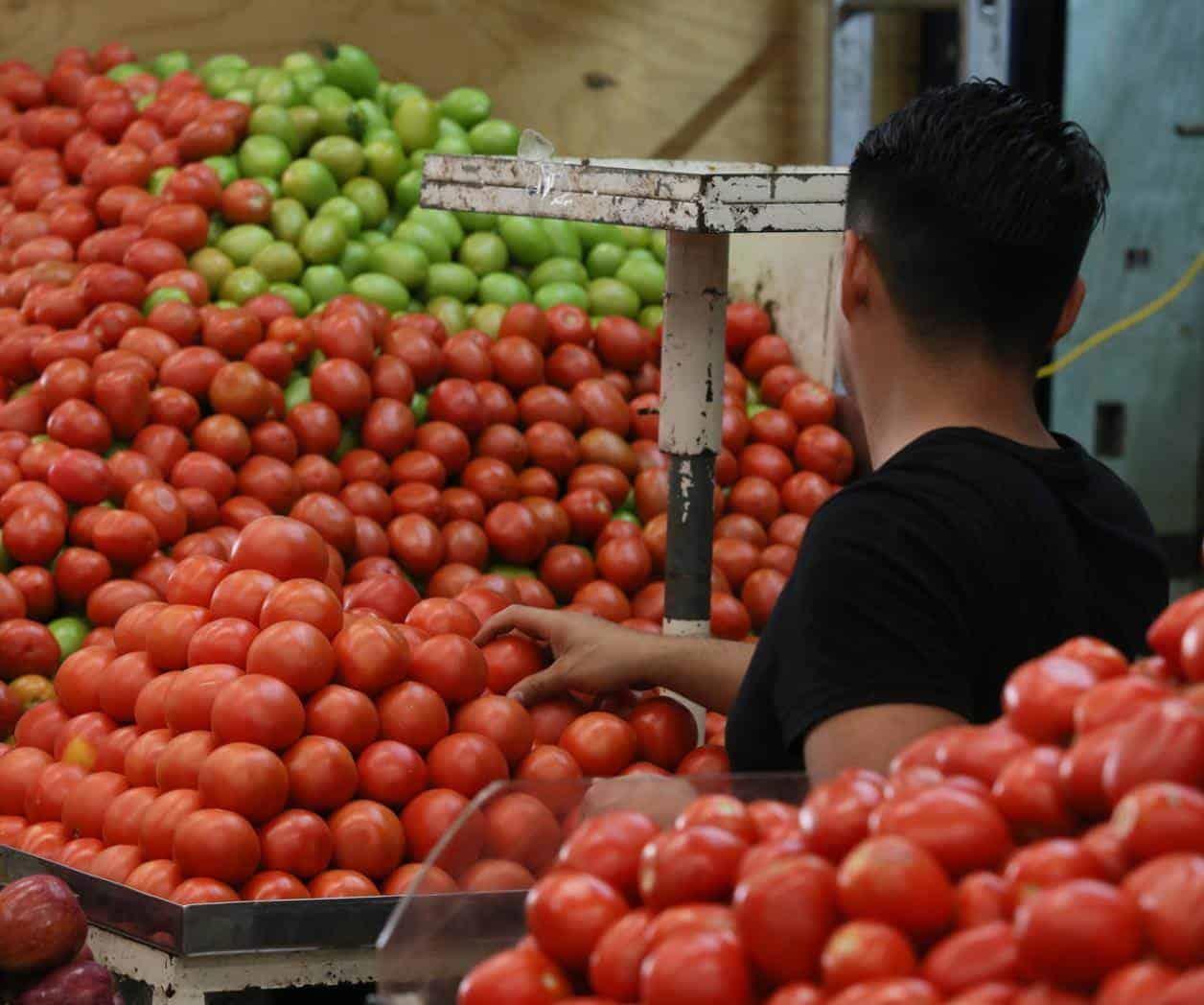 Teme la IP de EU represalias por aranceles a los tomates