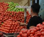 Teme la IP de EU represalias por aranceles a los tomates