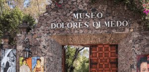 Cambiaron el último deseo de la mexicana Dolores Olmedo