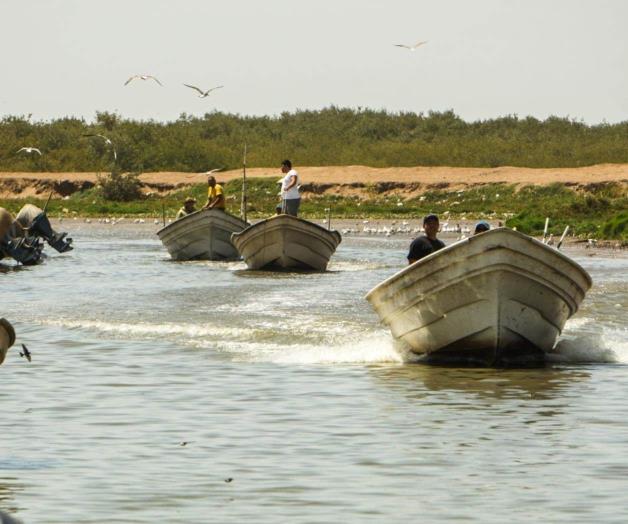 Pesca en crisis Pesca en crisis