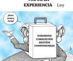 Voz de la experiencia